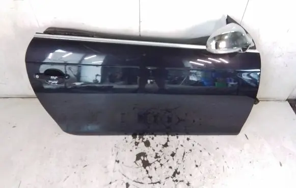 Volkswagen Eos Front door