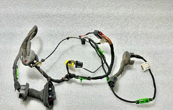 Front door wiring loom