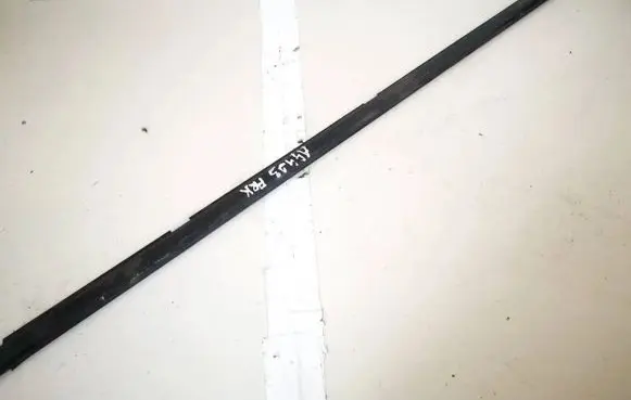 Front door glass trim molding