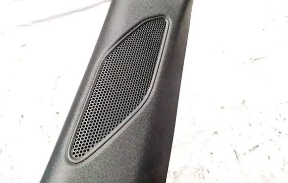 Cupra Born Front door speaker 10a035411