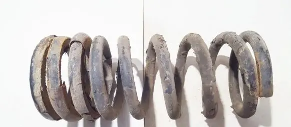 KIA Carnival Rear coil spring