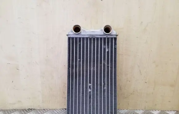 Renault Trafic II (X83) Heater blower radiator