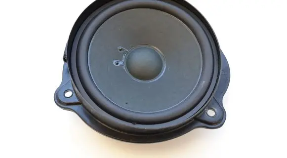 Mercedes-Benz CLS C219 Front door speaker A2198200502