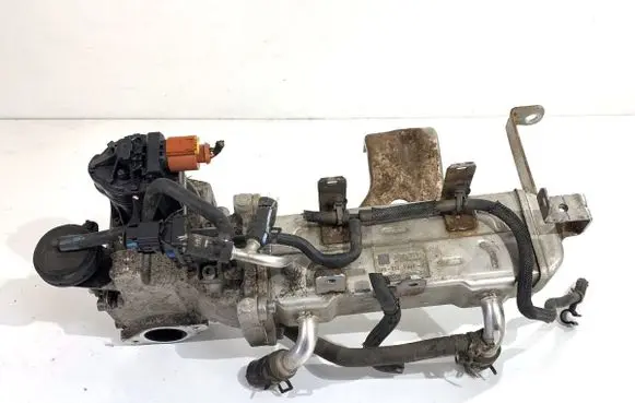 Opel Antara EGR valve cooler 25185316