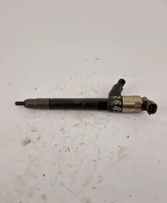 Opel Insignia A Fuel injector 55570012