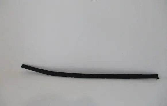 Rear door rubber seal (on body)