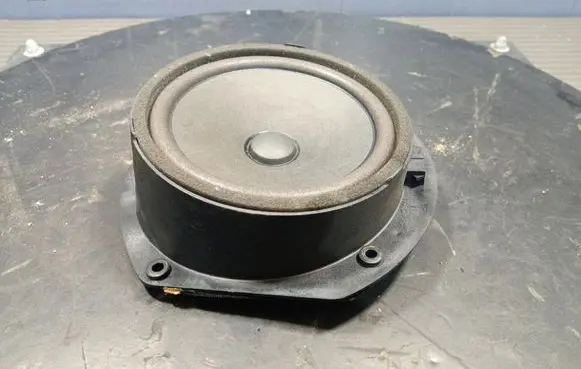 Tesla Model S Subwoofer speaker 