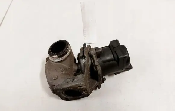 Citroen Berlingo EGR valve 21604679-9