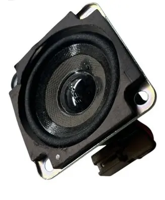 Panel speaker