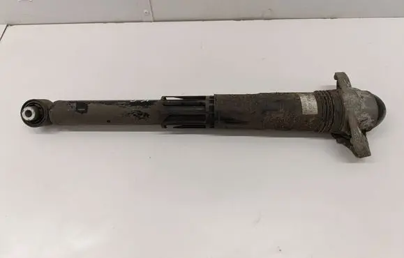 Volkswagen ID.3 Rear shock absorber/damper 1EA513423F