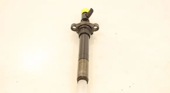 Citroen C5 Fuel injector EJBR06001D