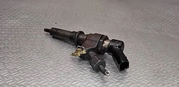 Citroen Berlingo Fuel injector 9652173780