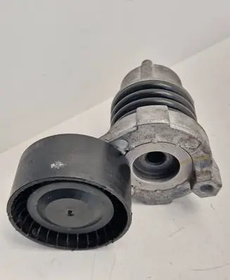Renault Captur Alternator belt tensioner 117506193R