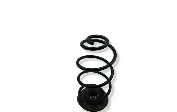 Opel Astra G Rear coil spring 