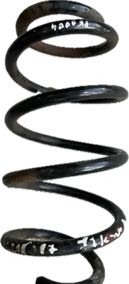Rear coil spring