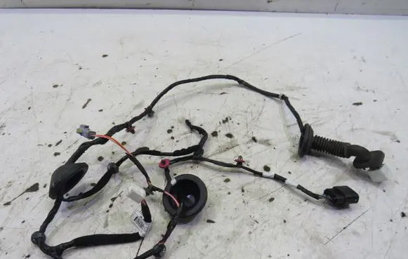 Hyundai ix20 Rear door wiring loom GMAUTO4574097