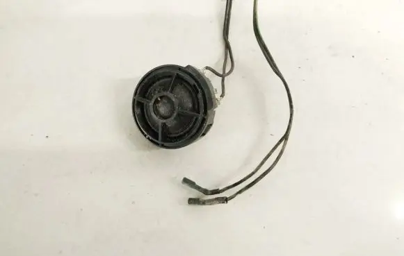 Front door speaker