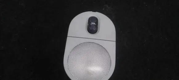 Renault Megane I Front seat light 6025307753