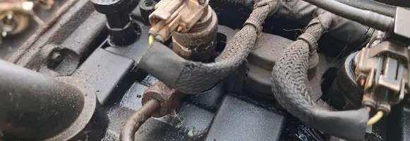 Fuel injector
