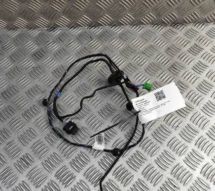 Front door wiring loom