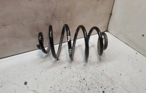 Rear coil spring
