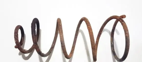 Fiat Punto (176) Front coil spring