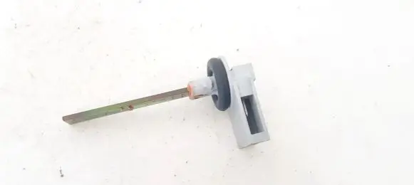 Interior temperature sensor