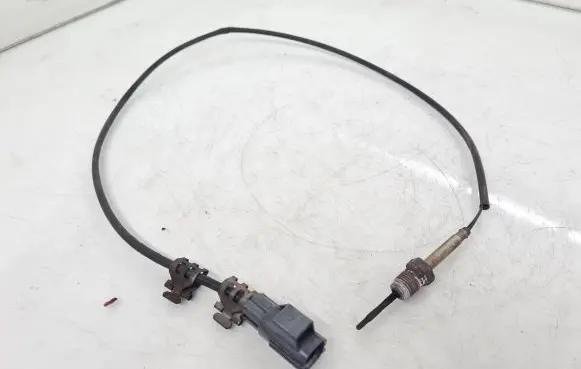Exhaust gas temperature sensor