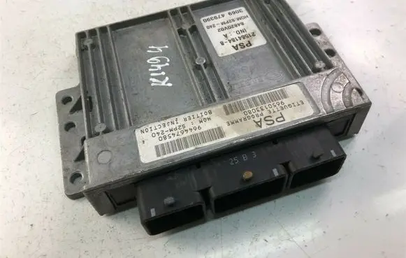 Citroen C5 Other control units/modules 9650133080 K1494
