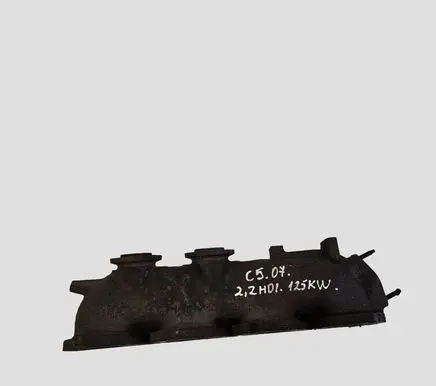 Citroen C5 Exhaust manifold