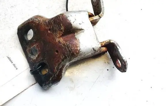 Rear door lower hinge