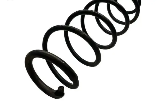 Renault Laguna III Rear coil spring