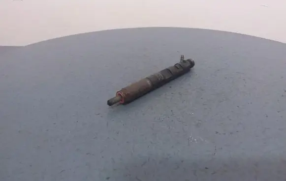 Renault Megane III Fuel injector 8200057225