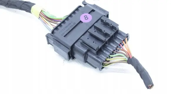 Other wiring loom