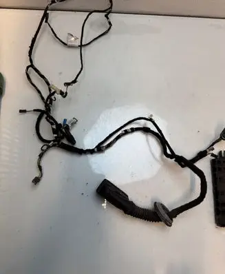 BMW 1 F20 F21 Front door wiring loom 9287427 07122011A