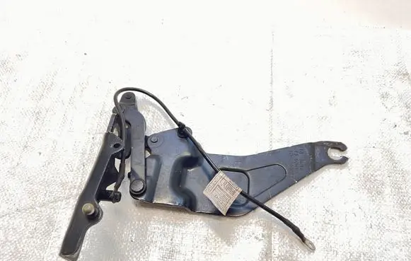 BMW X5 E70 Engine bonnet/hood hinges 7208628