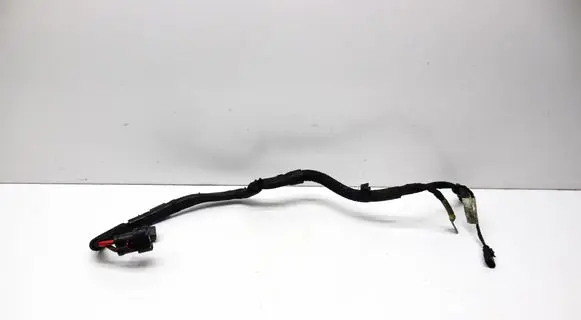 Audi A4 S4 B9 8W Other wiring loom 8W1971111