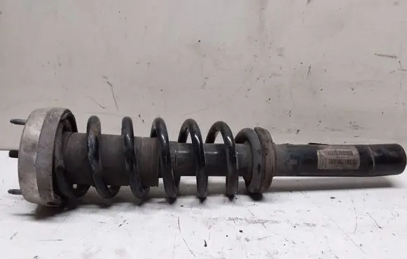 BMW X6 E71 Front coil spring 6786016 14941510