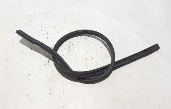 Volkswagen PASSAT B8 Engine compartment rubber 3G0823723