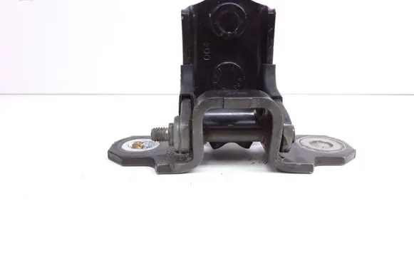 Renault Vel Satis Rear door upper hinge 8200101886