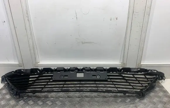 Front bumper lower grill