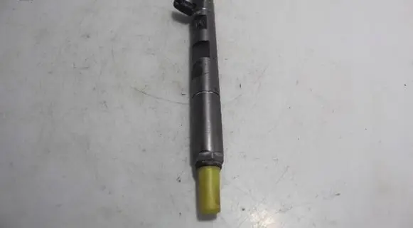 Renault Megane II Fuel injector