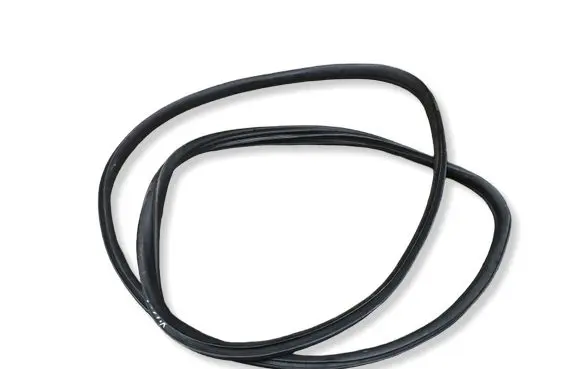 BMW X6 E71 Front door rubber seal 