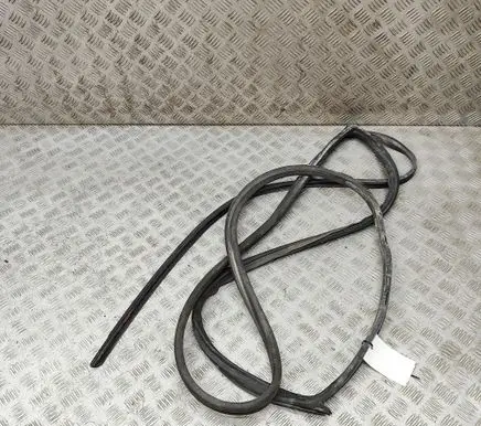 Mercedes-Benz S W140 Rubber seal front coupe door A2207200178