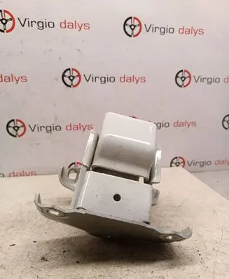 Renault Trafic II (X83) Loading door lower hinge 527428C 57854C
