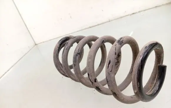 Rear coil spring