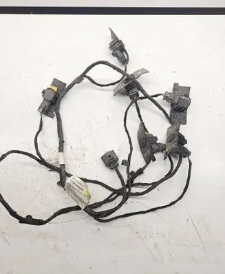 Volkswagen Tiguan Parking sensor (PDC) wiring loom 5N0971095B 07052010 AB016604C