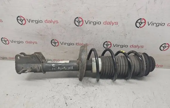 Fiat Punto (199) Front shock absorber with coil spring