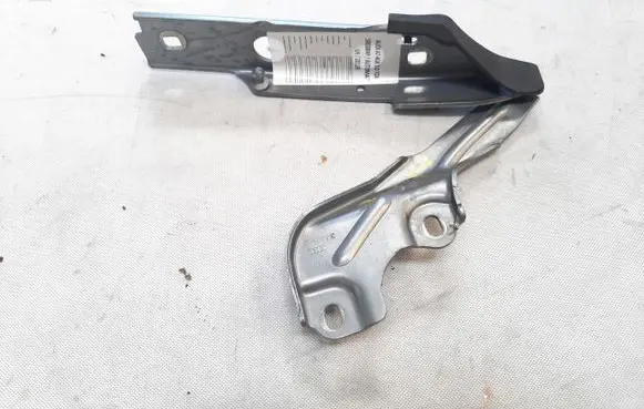 Engine bonnet/hood hinges