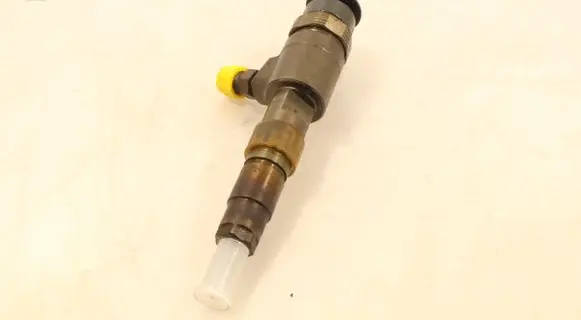 Citroen C3 Fuel injector 0445110339